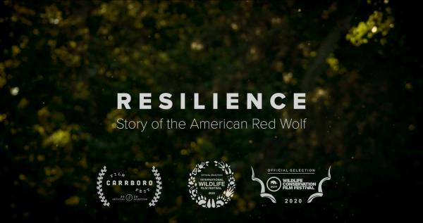 Image for event: Running Wild Media: Resilience Film Screening 